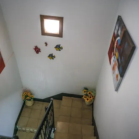Dream House Apartament *